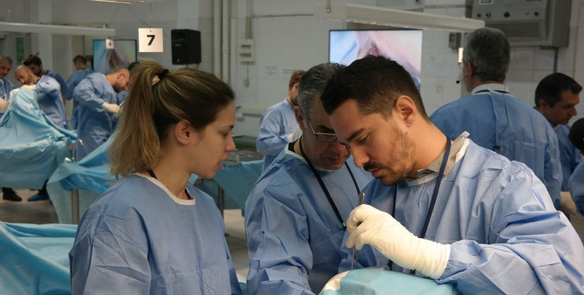 Thessaloniki Masters Course Shoulder & Elbow with anatomic specimen_3.jfif