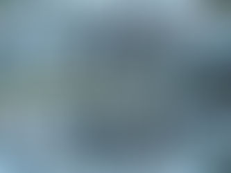 Cannabis Sorten: Indica, Sativa & Hybride – Was steckt hinter deiner Lieblingssorte?