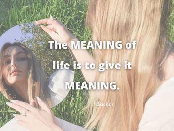 The Meaning of Life is to Give It Meaning.