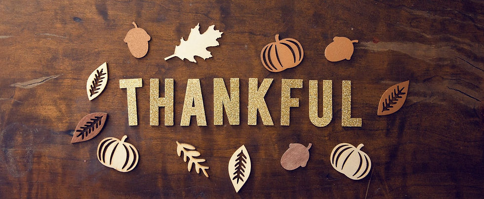 thanksgiving newsletter.jpeg