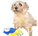 Thomas.png