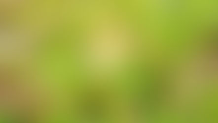 辛い花粉症の症状を和らげたい