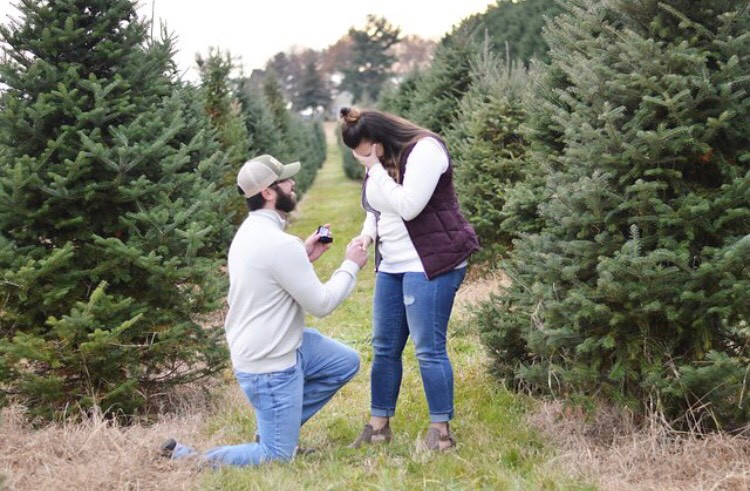 knee proposal