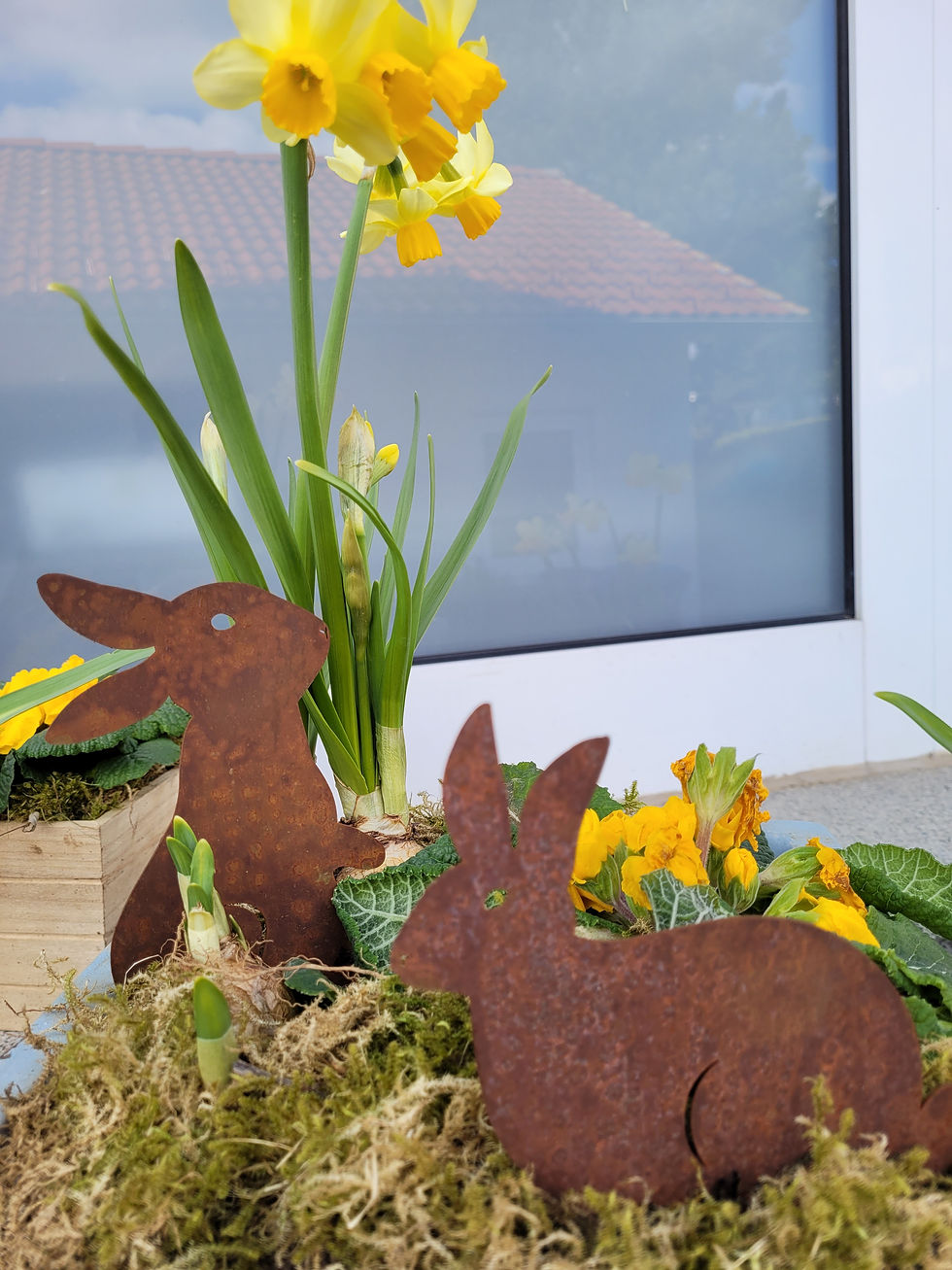 Miniaturbild: Hase Stups