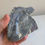 Thumbnail: Labradorite Lizard on Rock