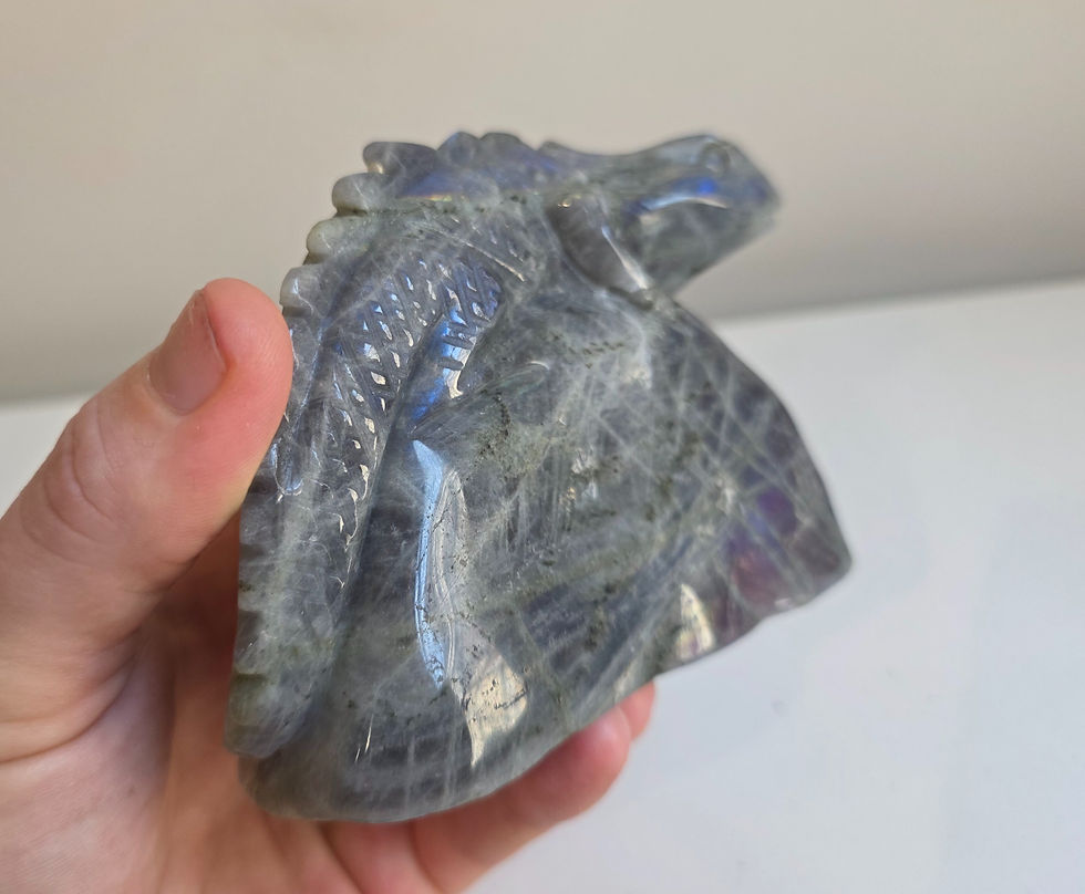 Thumbnail: Labradorite Lizard on Rock