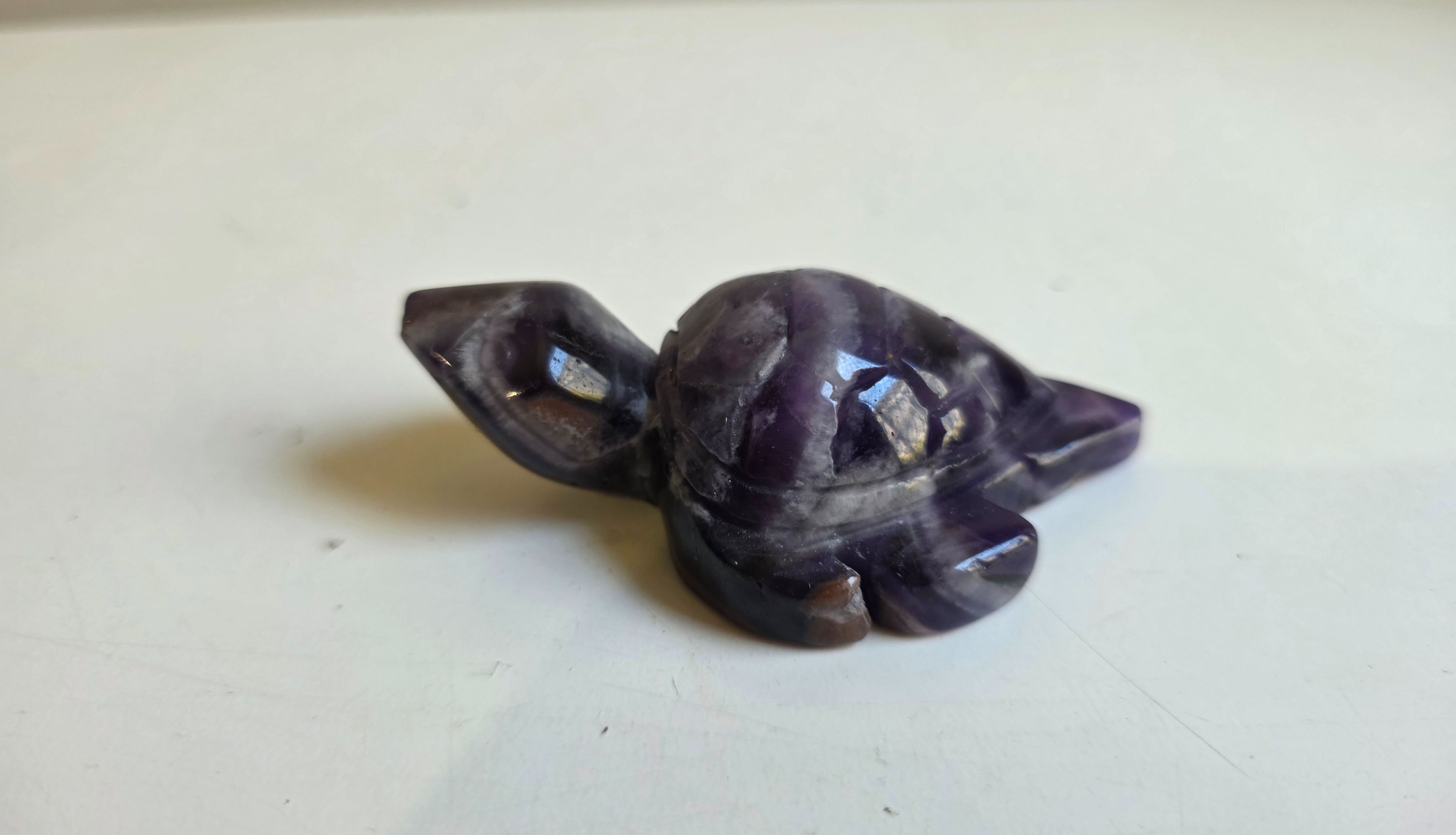 Dream Amethyst Turtle
