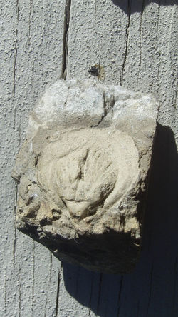 Brachipod-Internal Cast