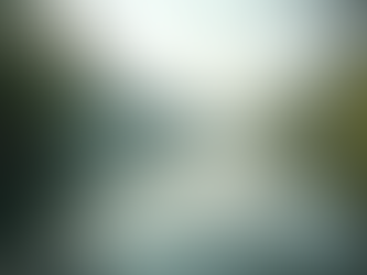 The Art of Mindful Living: Embracing the Present Moment