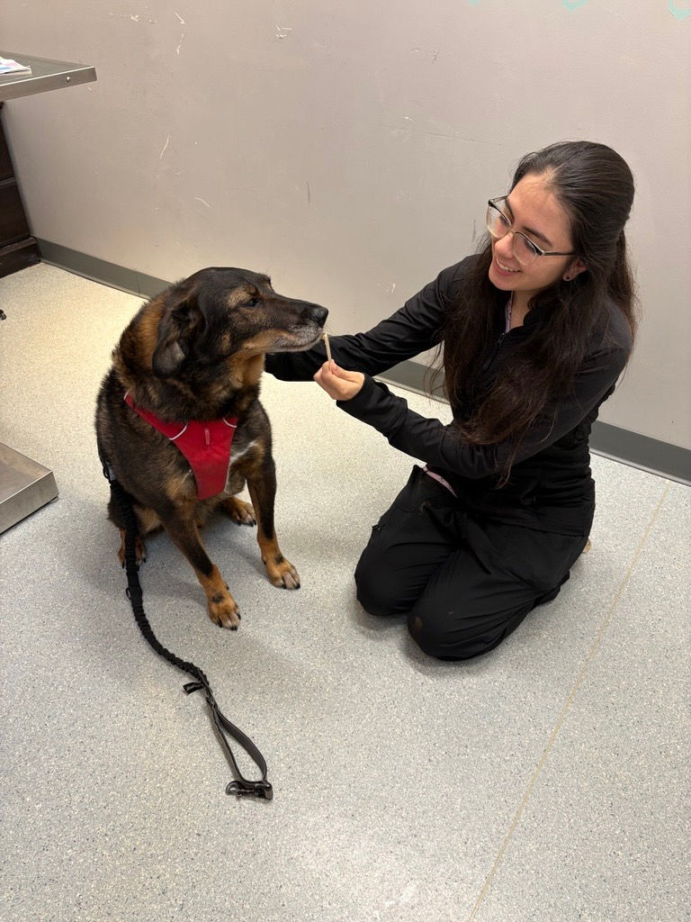 TyandArlo.jpg
