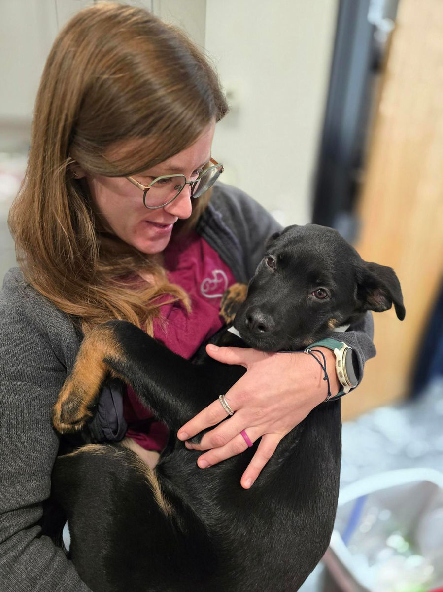Alaska SPCA Adoption Center
