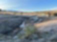 Wetland Restoration