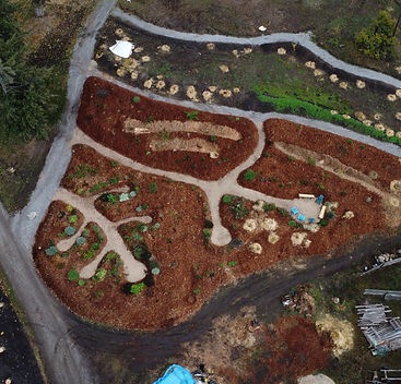 dji_fly_20251031_114556_253_1761936686746_aeb.jpg