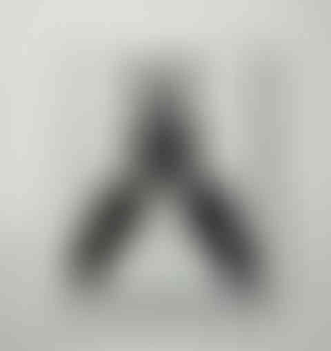 Corpus, Prune Nourry