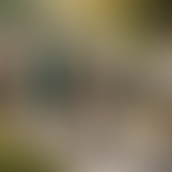 Maximize Your Retirement Planning with Express One Insurance