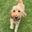 Writer: Auggie