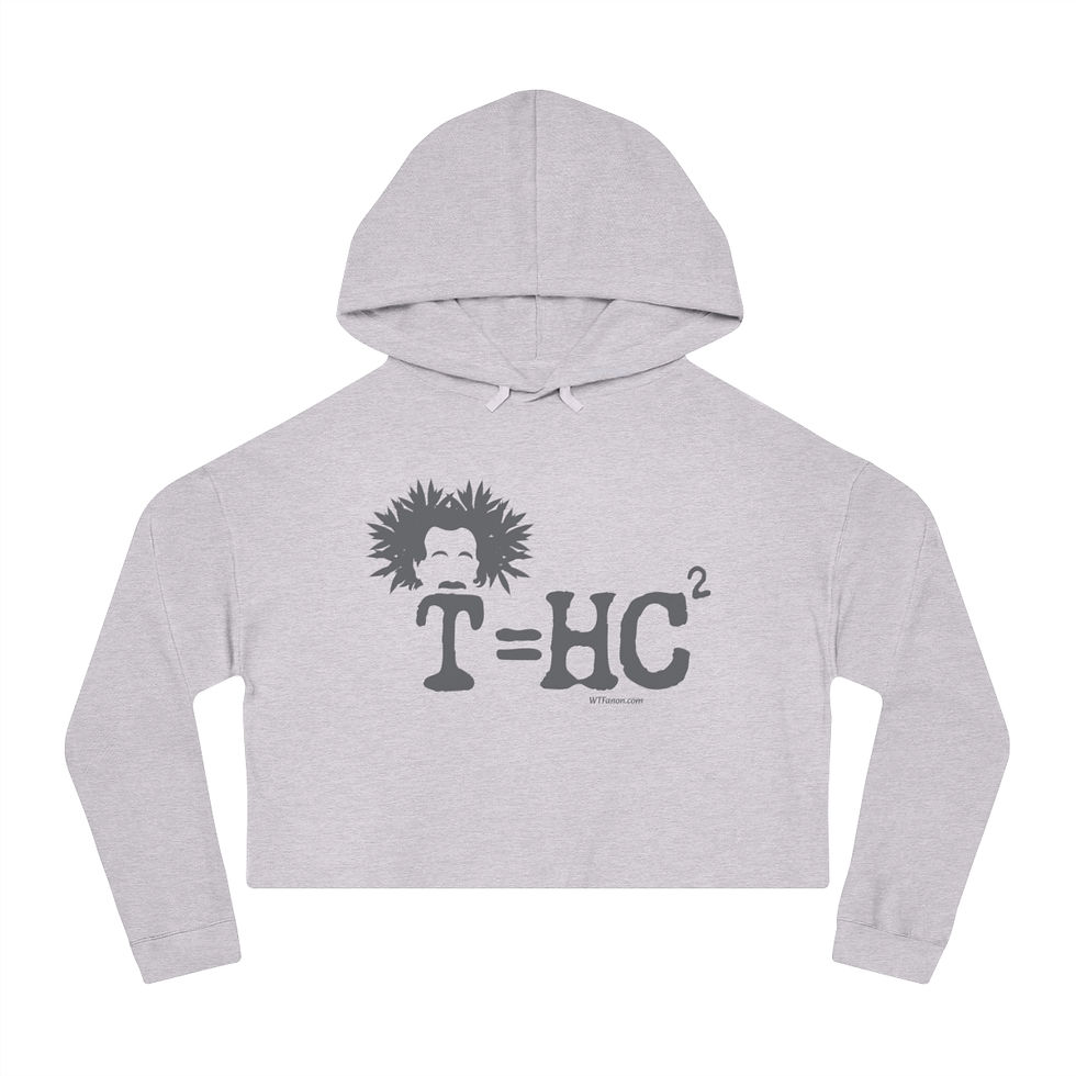 Thumbnail: Gray cropped hoodie featuring Einstein and T=HC Squared