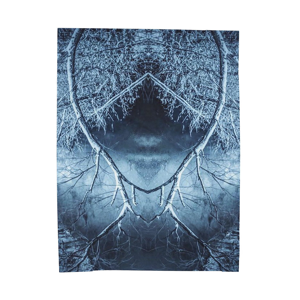 Thumbnail: Abstract winter forest reflection