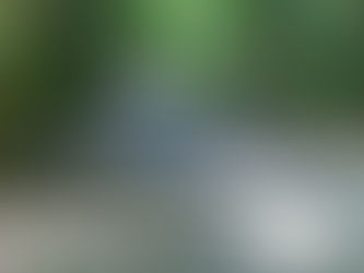 神社さまさま♡
