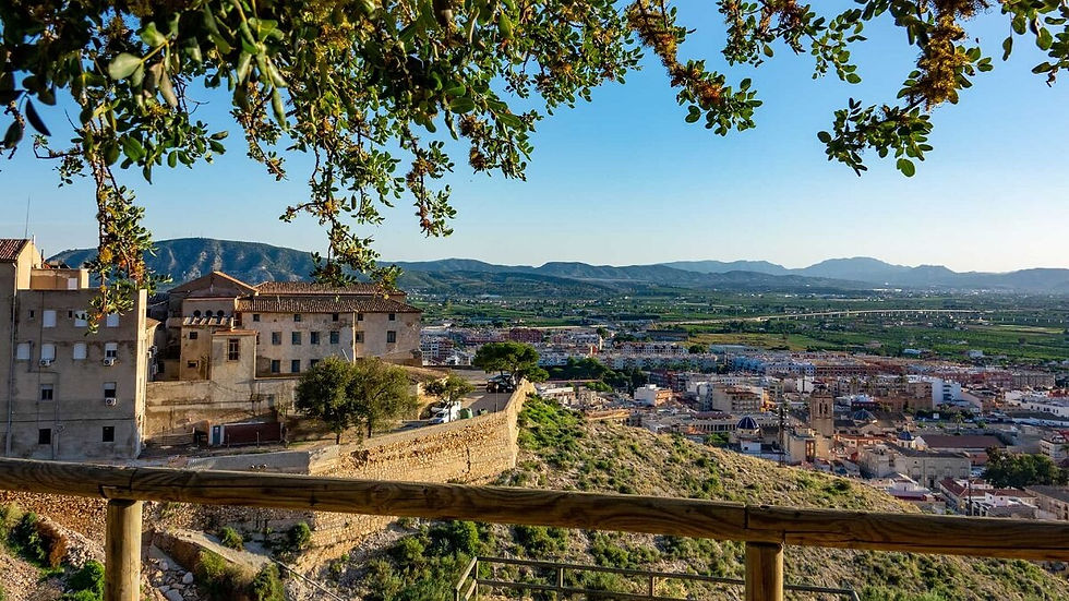 Napfényes hegyi panoráma: városra néző kilátás, előtérben fa korlát és lombok, távolban zöld síkság és hegyek. Orihuela : látnivaló Alicante környékén