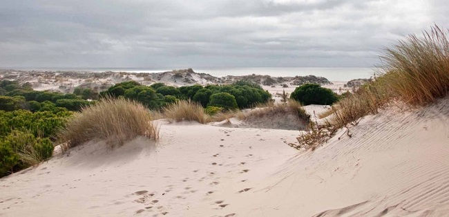 Donana Nemzeti Park Európa legnagyobb lápvidéke