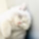 Perla Pic3.JPG
