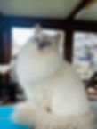 Freya2.jpg