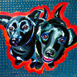 CatlinsDogs_Jan2019.jpeg