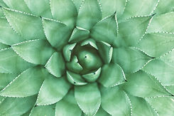 Chercher la cause des troubles en naturopathie