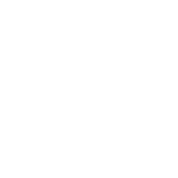 startup (1).png
