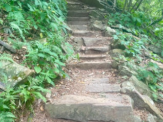 The Leap: Making the Jump From Sales to Sales Leadership