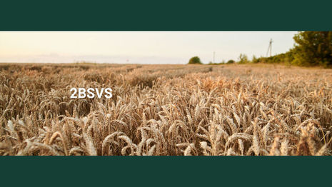 Agriculture certifiée : les normes et les labels