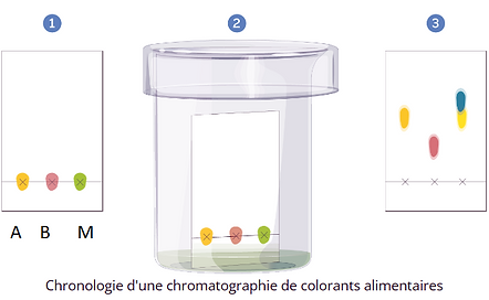 chromatograme_3_taches.png