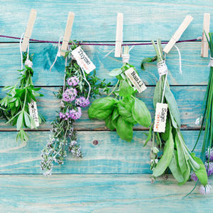 Adaptogenic Herbs
