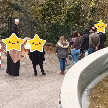 Plateau compétences transverses