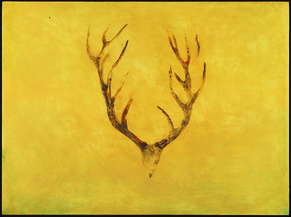 Ghost Elk