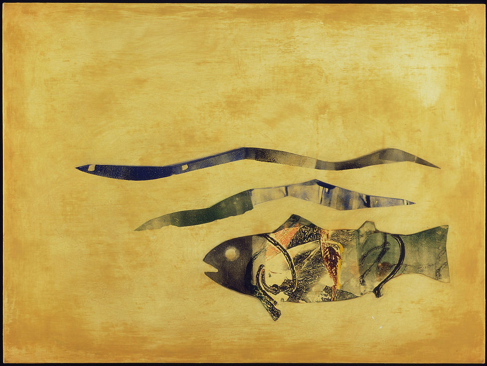 Swimmer