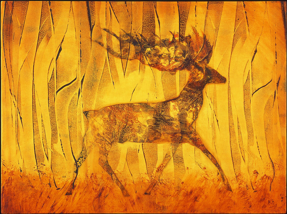 Deer