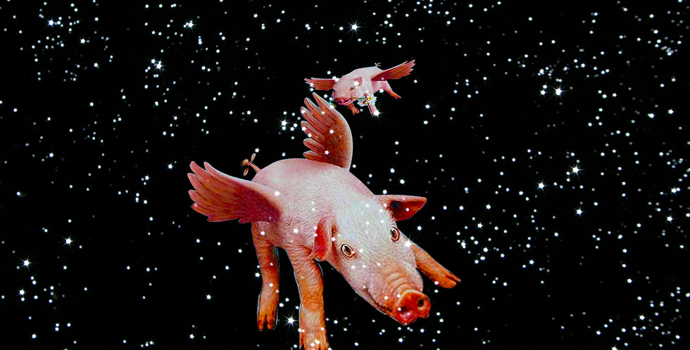 pig_print.jpg