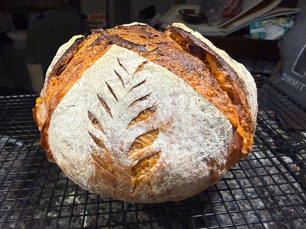 Sourdough Stand