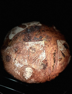 Chocolate Chip Sourdough Boule