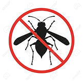 89687074-no-insects-sign-on-the-white-ba