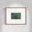 Miniatura: Agave 1.1