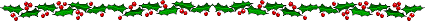 CHRISTMAS HOLLY