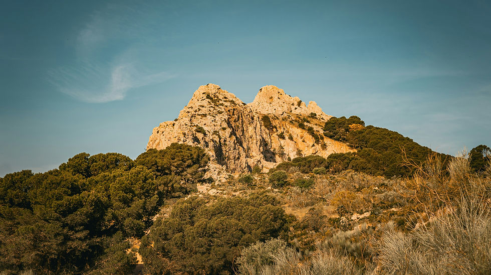 amanda-anusane-F3DuZN_89Rc-unsplash_edited