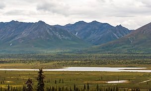 Waszyngton20250818-3 (1)_edited.jpg