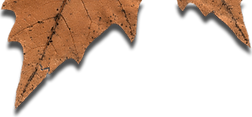 leaf2.png
