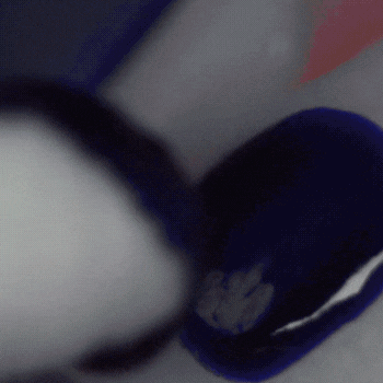 Untitled design (11).gif