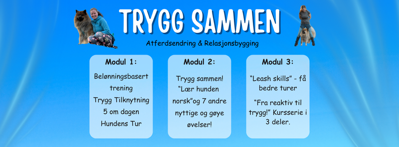 Online kurs som skal hjelpe reaktive hunder