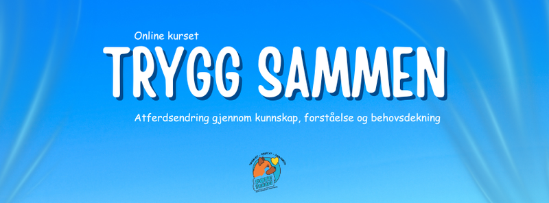 Online kurs som skal hjelpe reaktive hunder